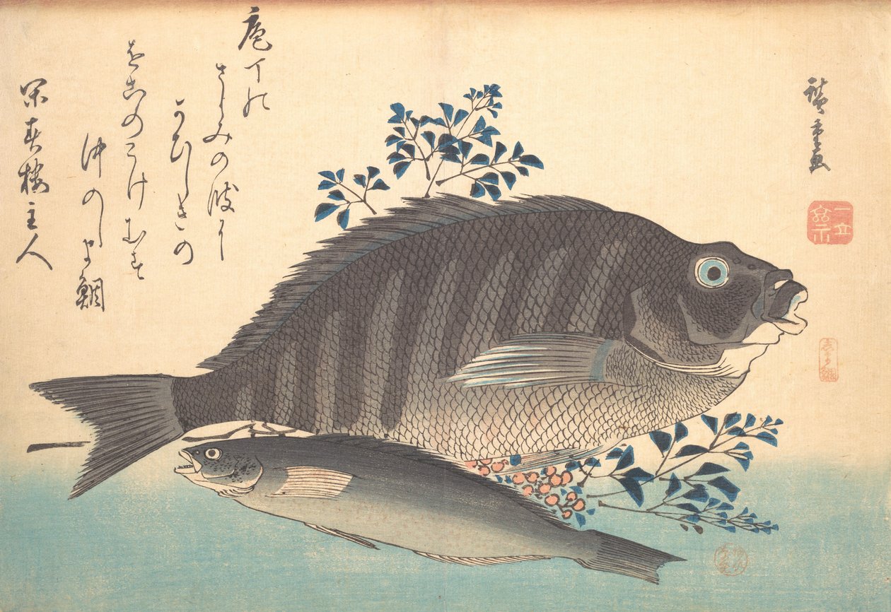Shimadai and Ainame Fish, from the series Uozukushi Every Variety of Fish by Ando Hiroshige