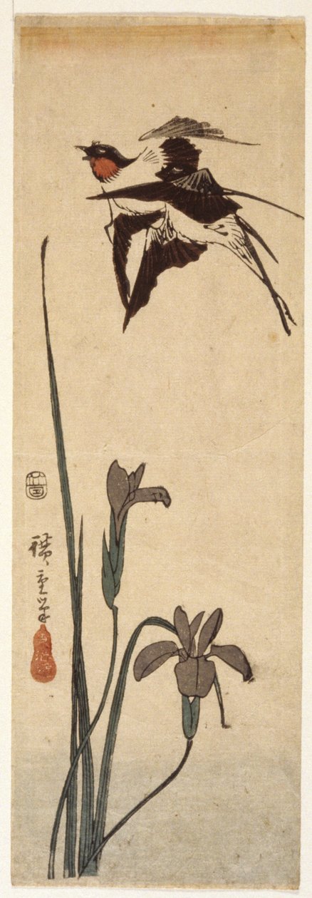 Swallows And Iris by Ando or Utagawa Hiroshige