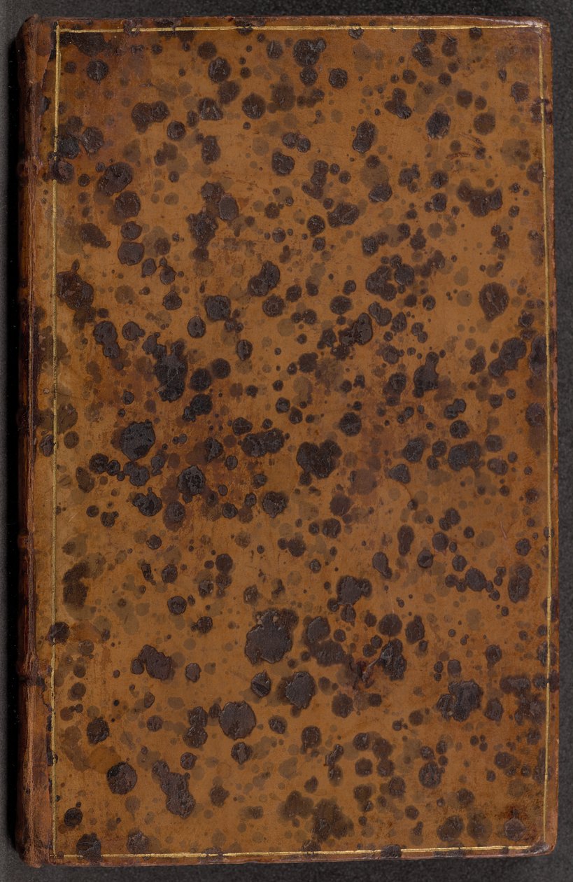 The First Book of Andrea Palladio
