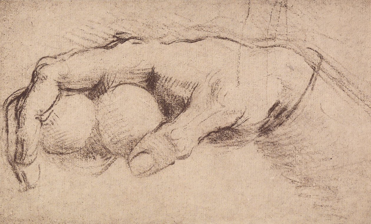 A hand by Andrea del Sarto: Premium art reproduction