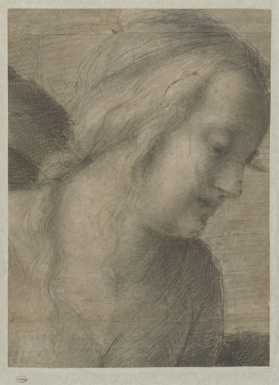 Head of Mary, in an Adoration by Andrea del Sarto