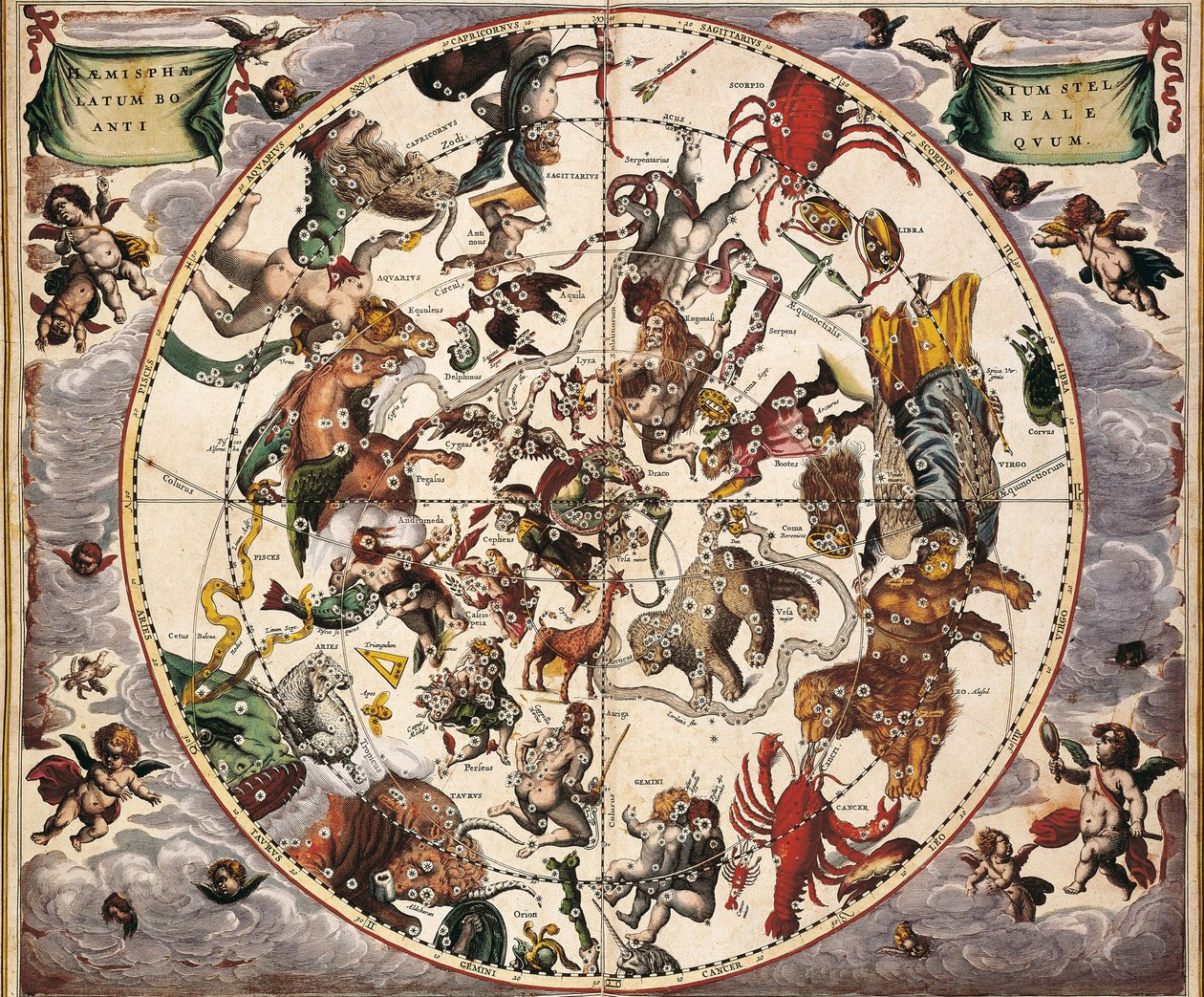 Atlas Coelestis seu Harmonia Macrocosmica. 1661. Fol 24. Hemisphaerium stellatum boreale antiquum. Representation of the Northern Hemisphere. Printed in Amsterdam by Johannes Janssonius. Early Modern Era by Andreas Cellarius