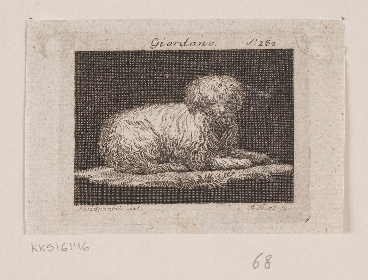 Giordano, a Lying Dog by Andreas Flint