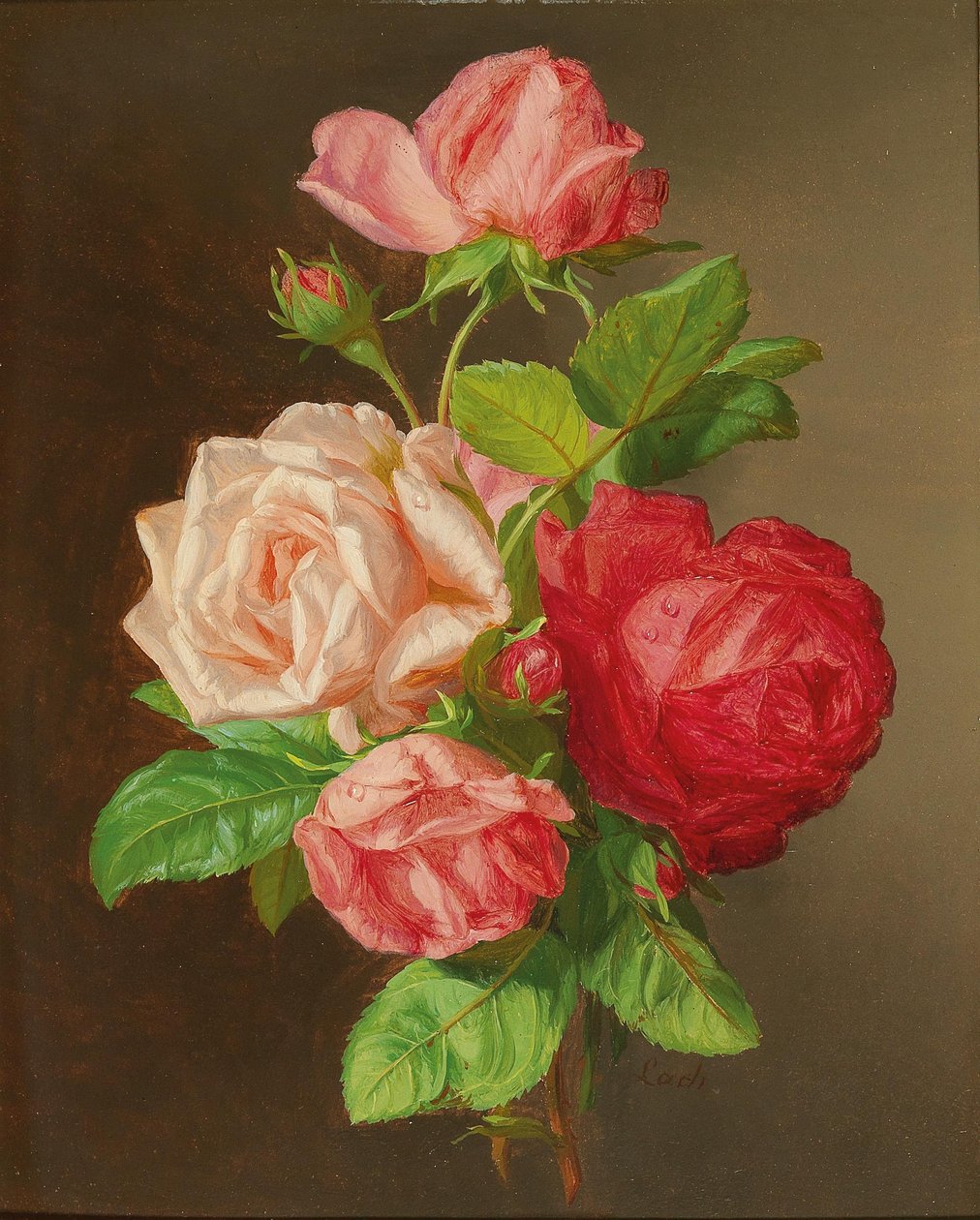 Roses by Andreas Lach