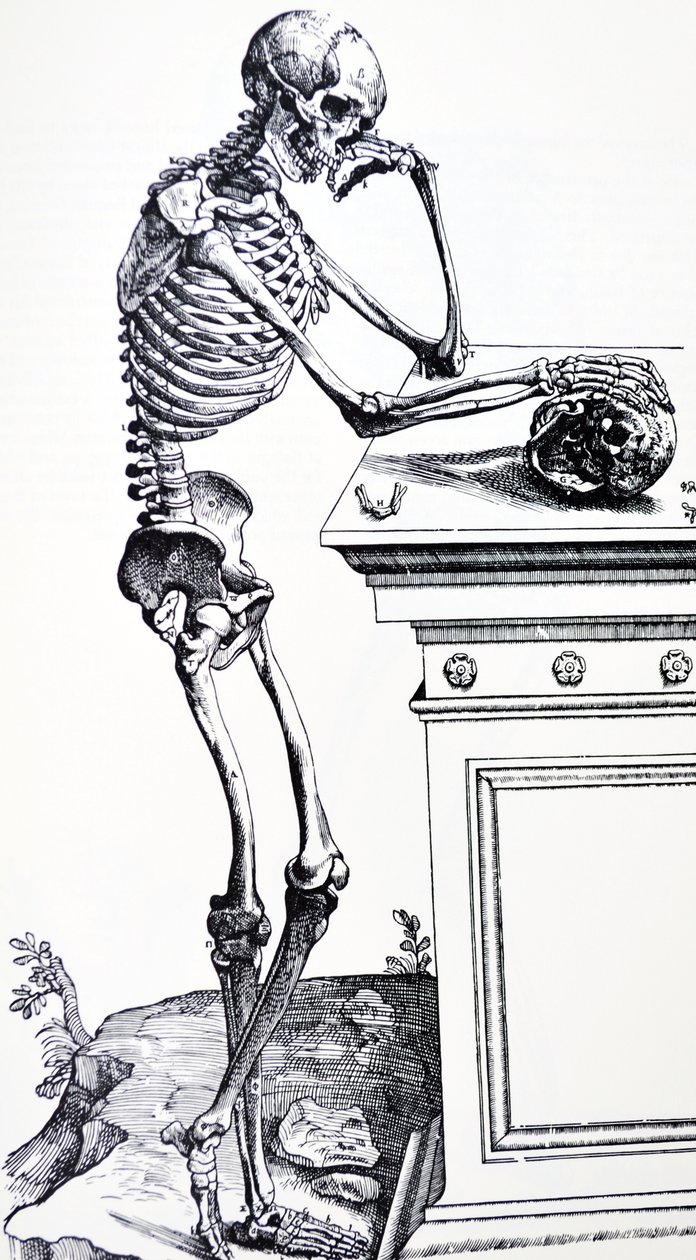 Human Skeleton with Skull in Hand. From 