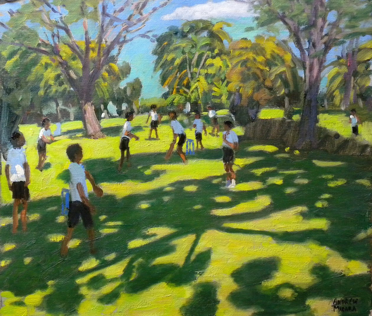 Cricket by Andrew Macara: Highest-quality art reproduction