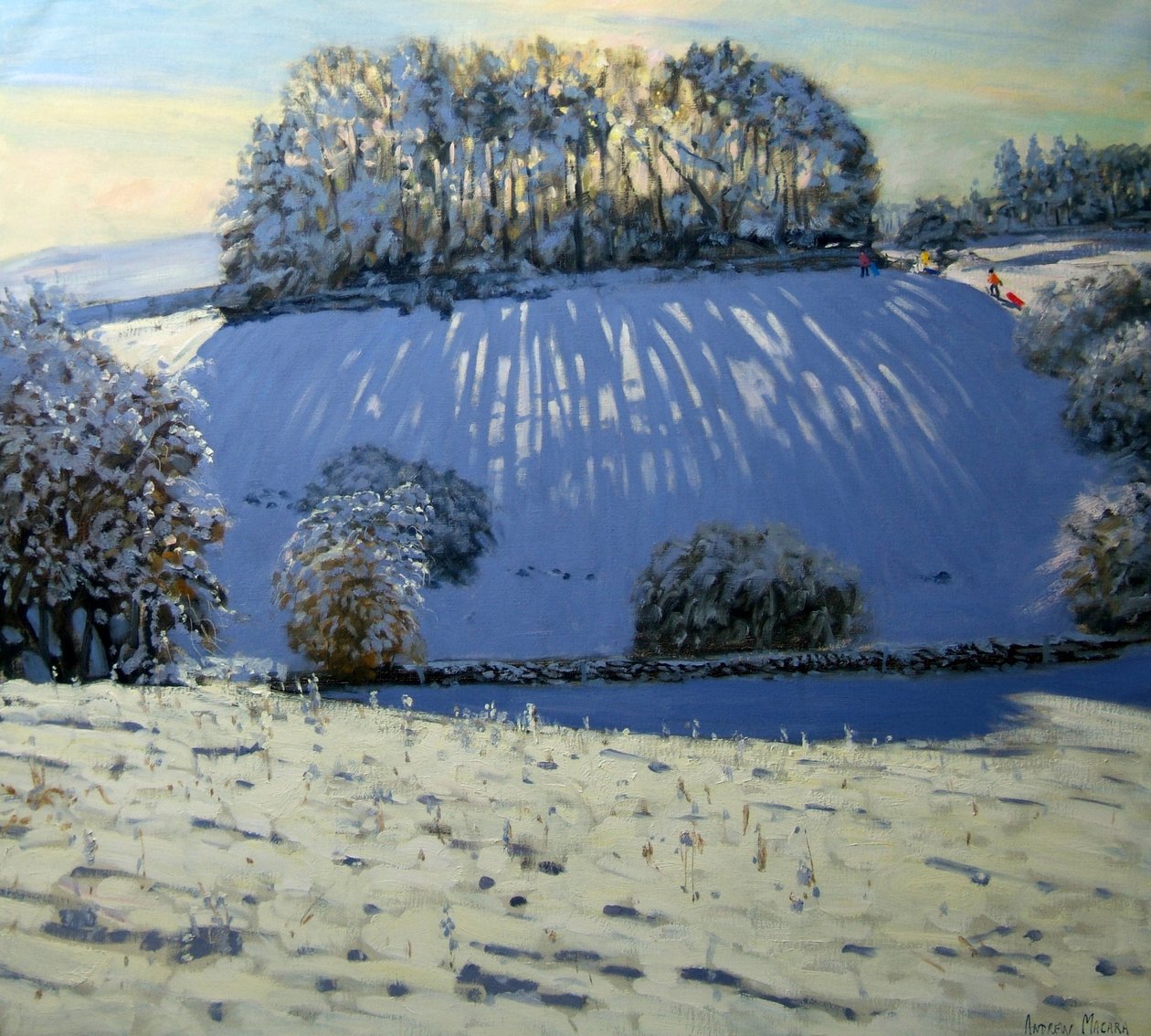 Field of Shadows, near Youlgrave, Derbyshire by Andrew Macara