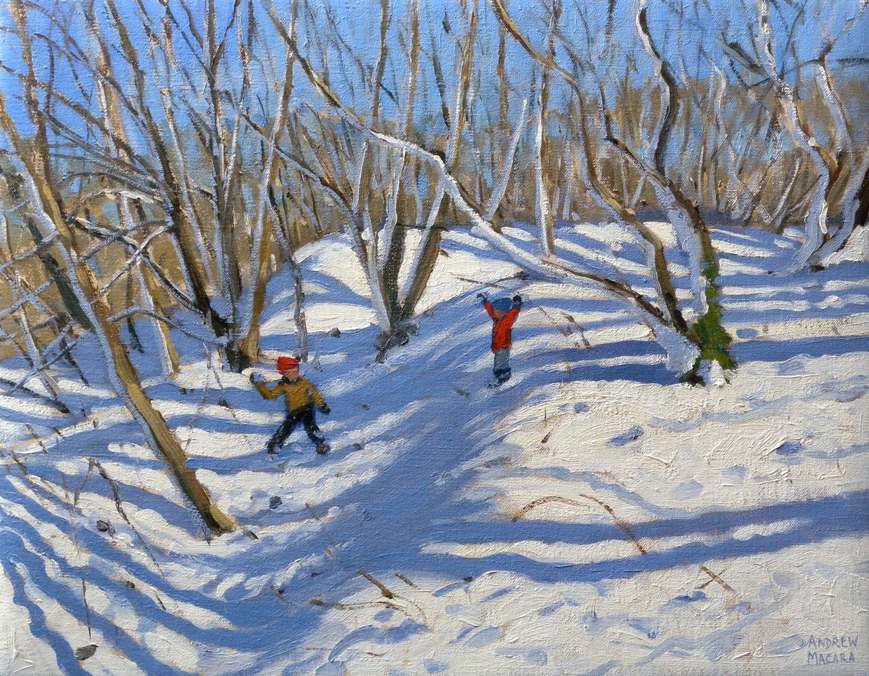 Spring Snow, Newhaven Derbyshire, 2008 by Andrew Macara