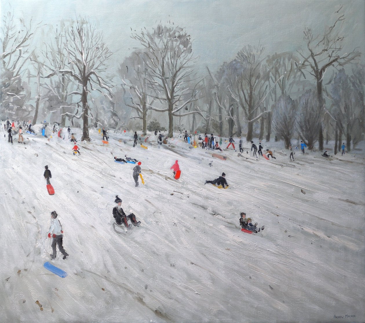 Tobogganers, Darley Park by Andrew Macara