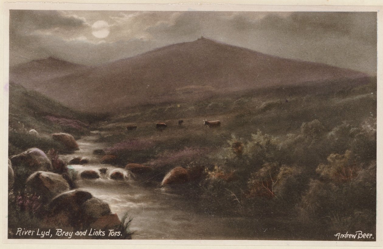 Dartmoor: River Lyd, Bray and Links Tors by Andrew Beer