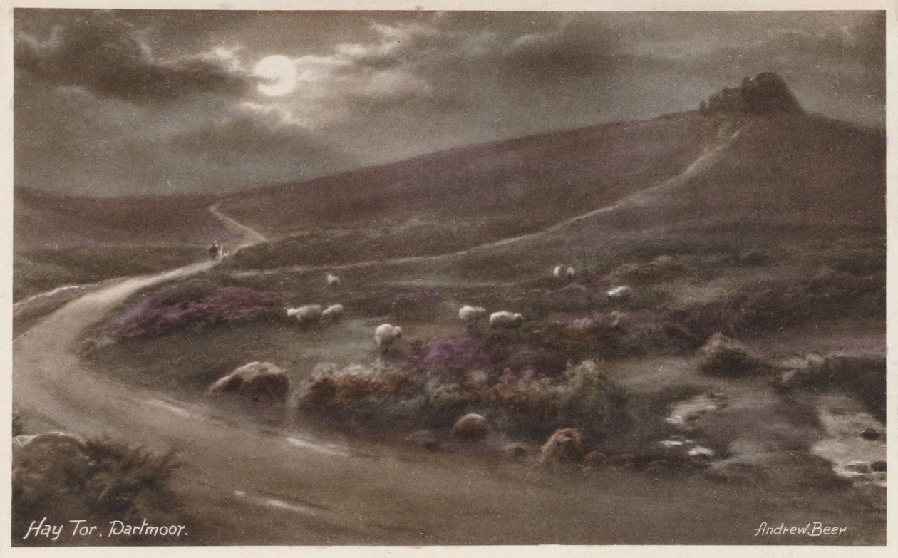 Hay Tor, Dartmoor by Andrew Beer