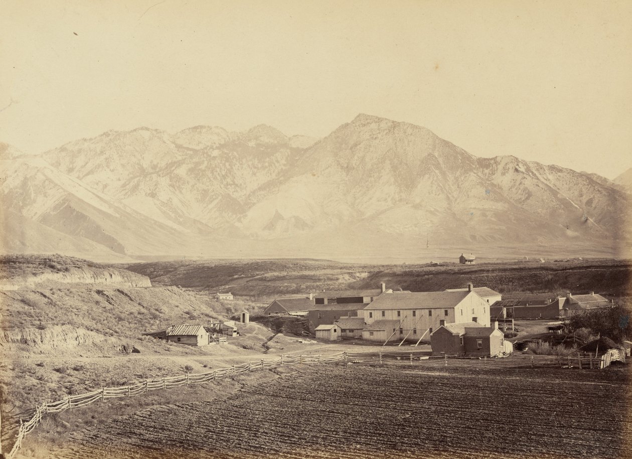 Plate 49. Brigham Young