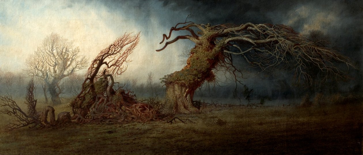 The Blasted Tree by Andrew MacCallum: Buy fine art print