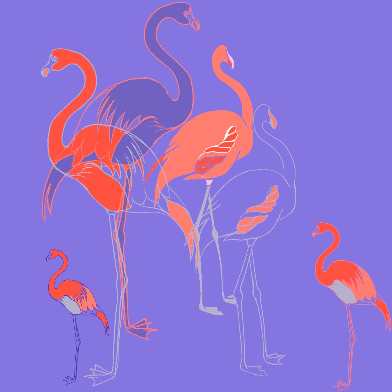 Flamingoes by Anna Platts
