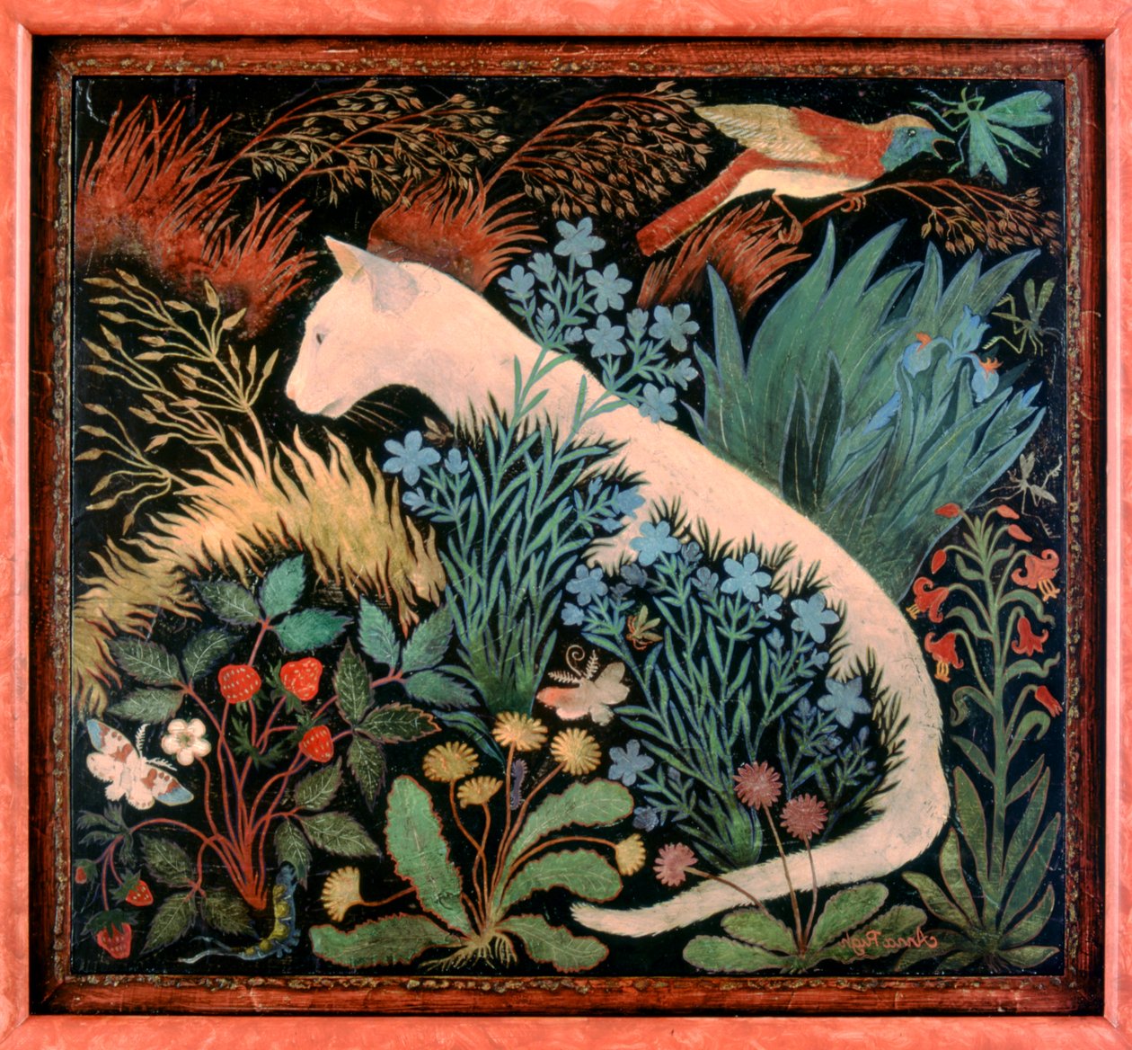 Albino by Anna Pugh