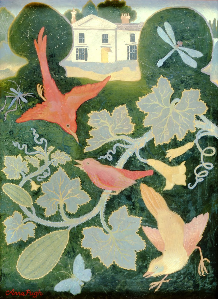 Ants House Sprangwell by Anna Pugh