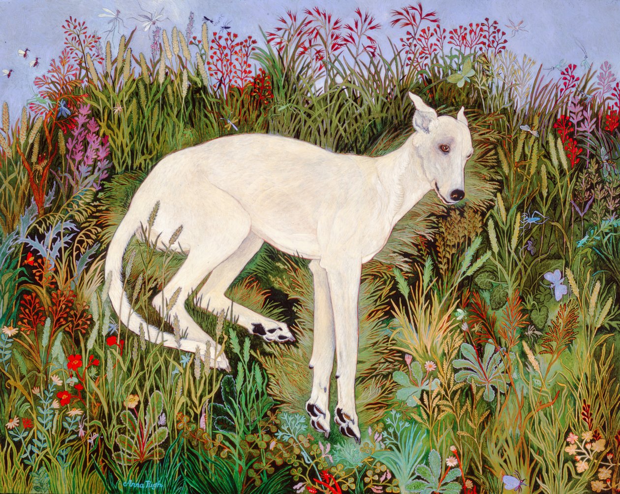 Bliss off Grass by Anna Pugh
