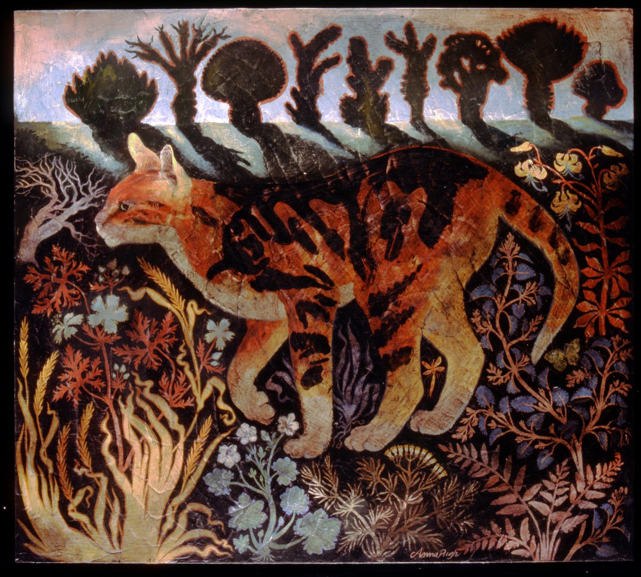 Cambridge Cat by Anna Pugh