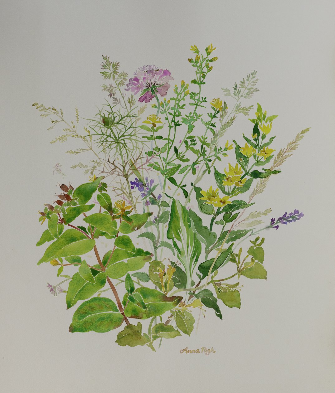 Flowers Still Life 4, 2021 by Anna Pugh