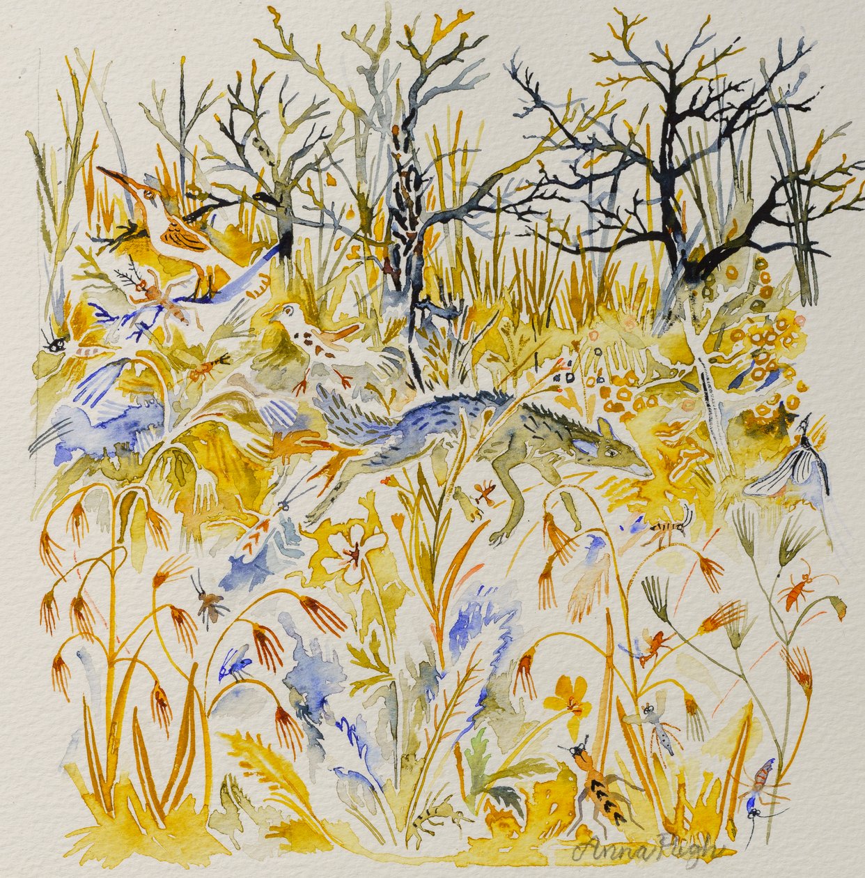 Fox in the Wood, 2023 by Anna Pugh