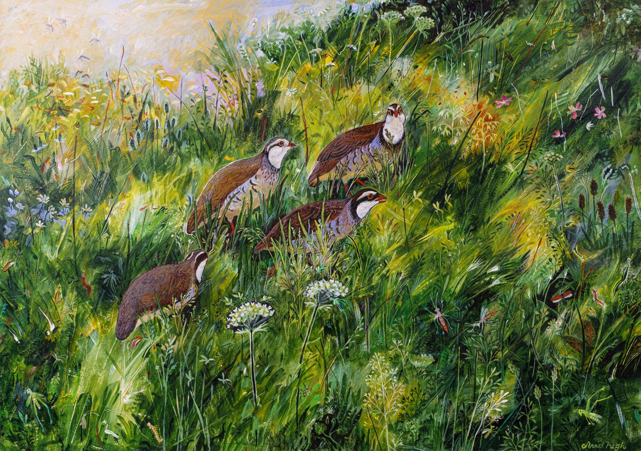 Long Grass, 2022 by Anna Pugh