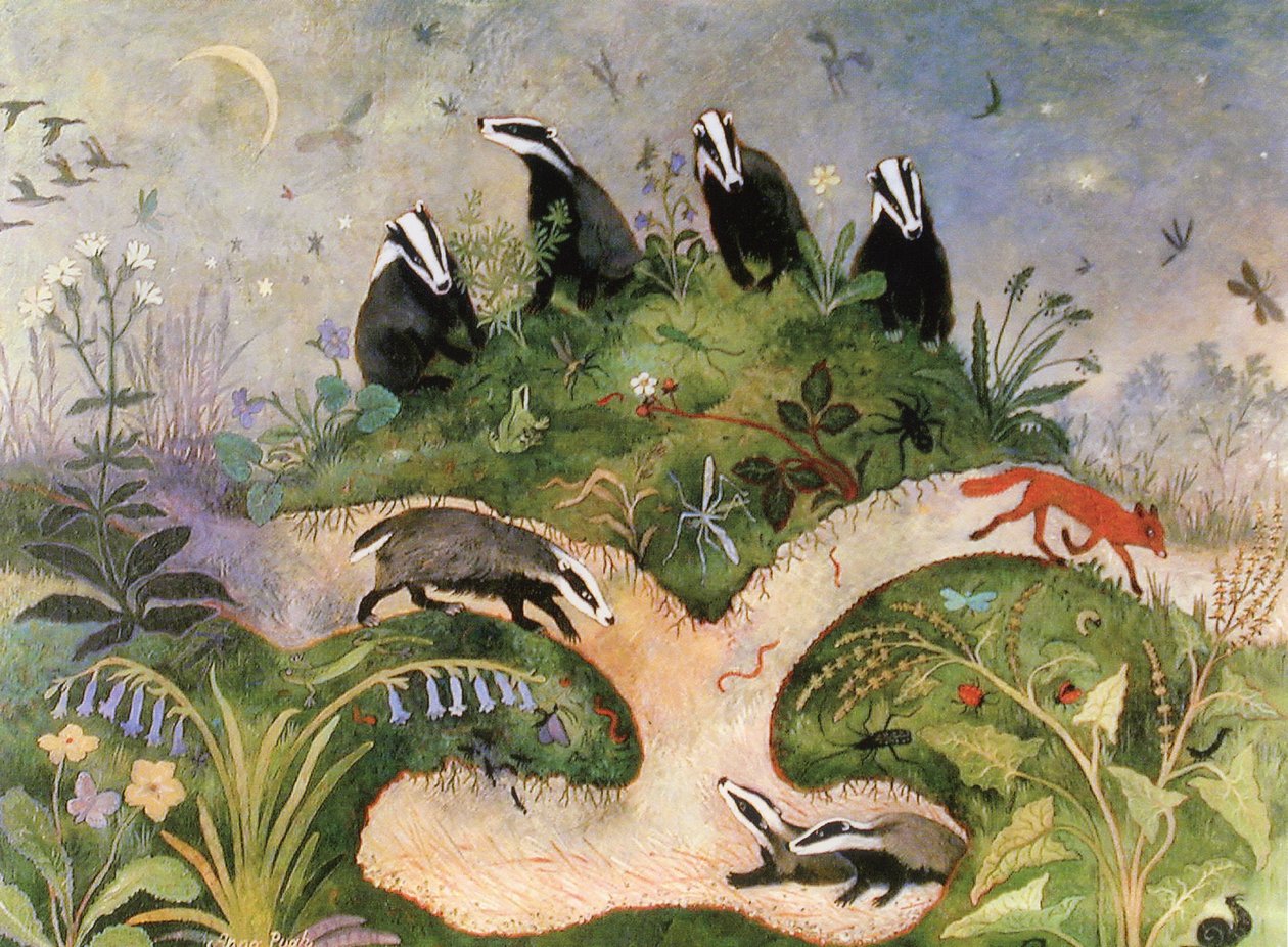 Night Sky, 2001 by Anna Pugh