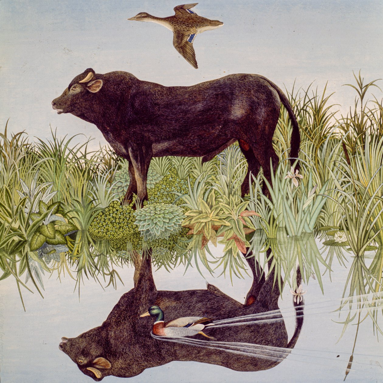 Reflecting, 2004 by Anna Pugh