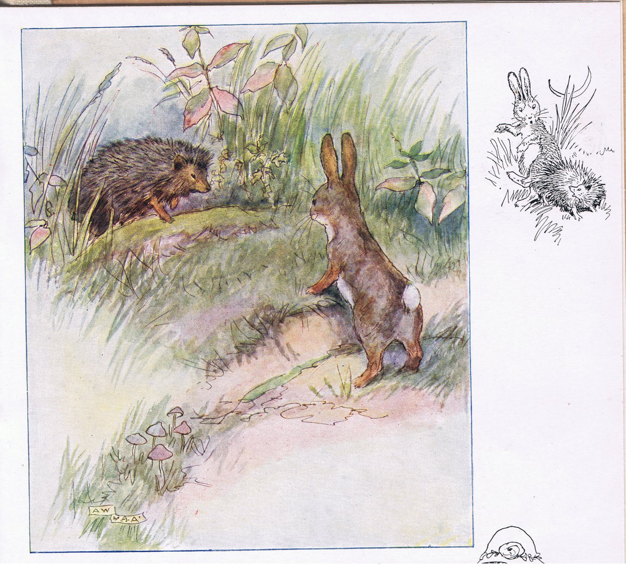 What Funny Things by Anne Anderson