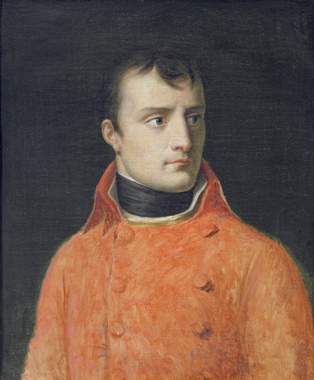 Napoléon Bonaparte, First Consul by Anne Louis Girodet de Roucy Trioson