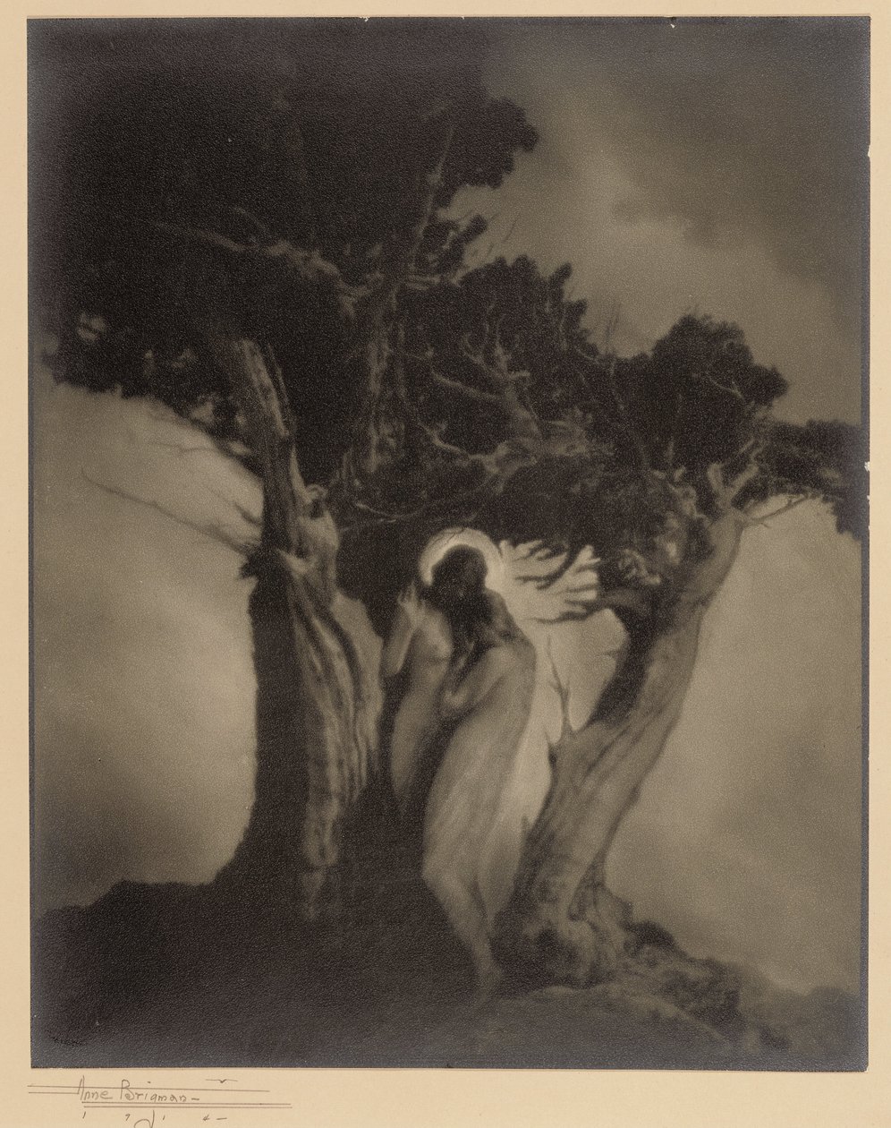 The Heart of the Storm by Anne W. Brigman