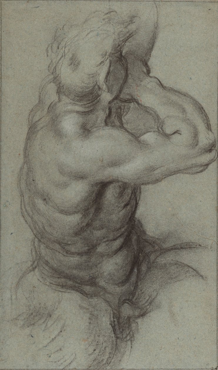 Study of Triton Blowing a Conch Shell; Partial Study of an Arm by Annibale Carracci