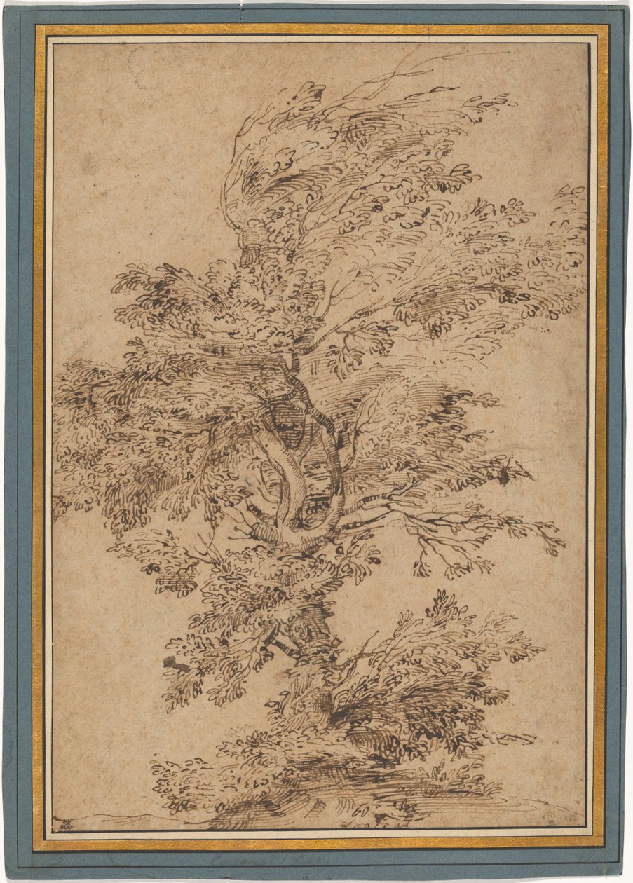 Study of a Tree by Annibale Carracci