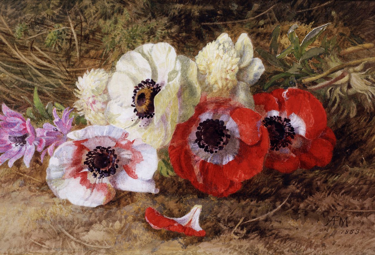 Anemones by Annie Feray Mutrie