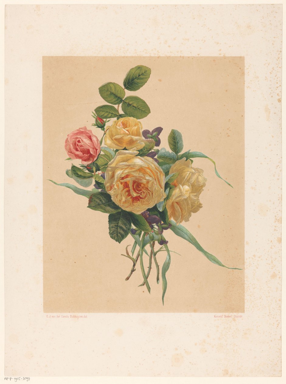 Forest of roses and violets by Anonymous