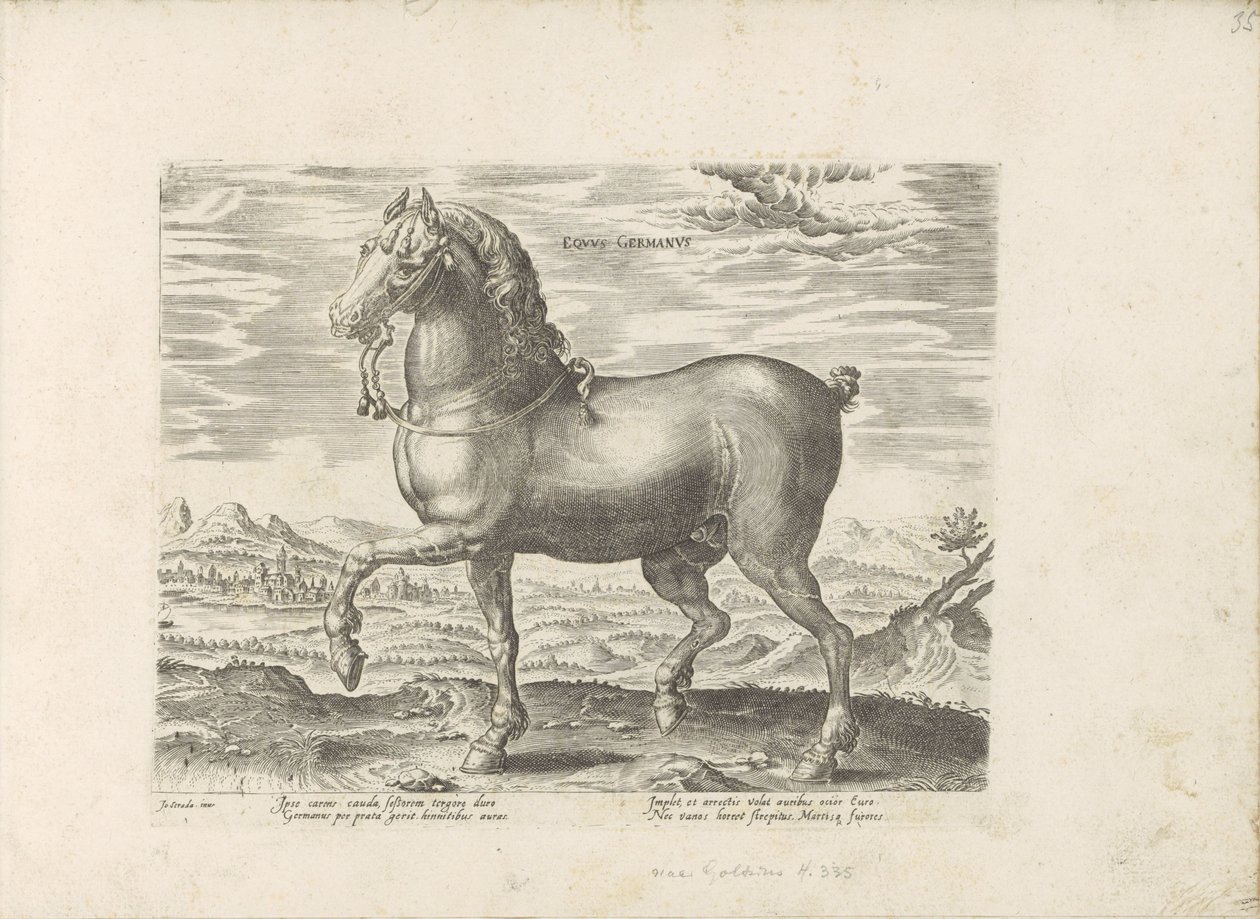German Horse by Anonymous