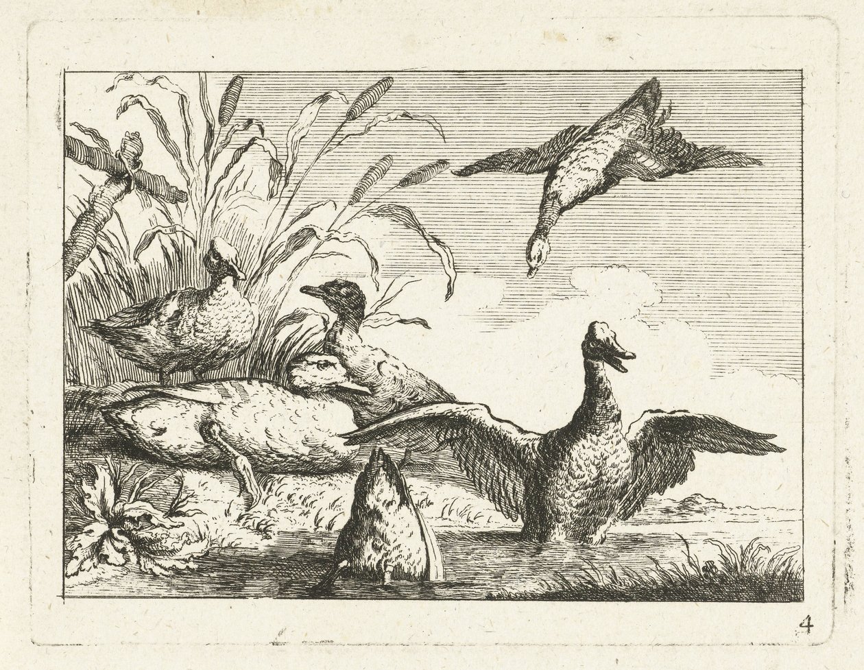 Ducks by a Pond by Anonymous