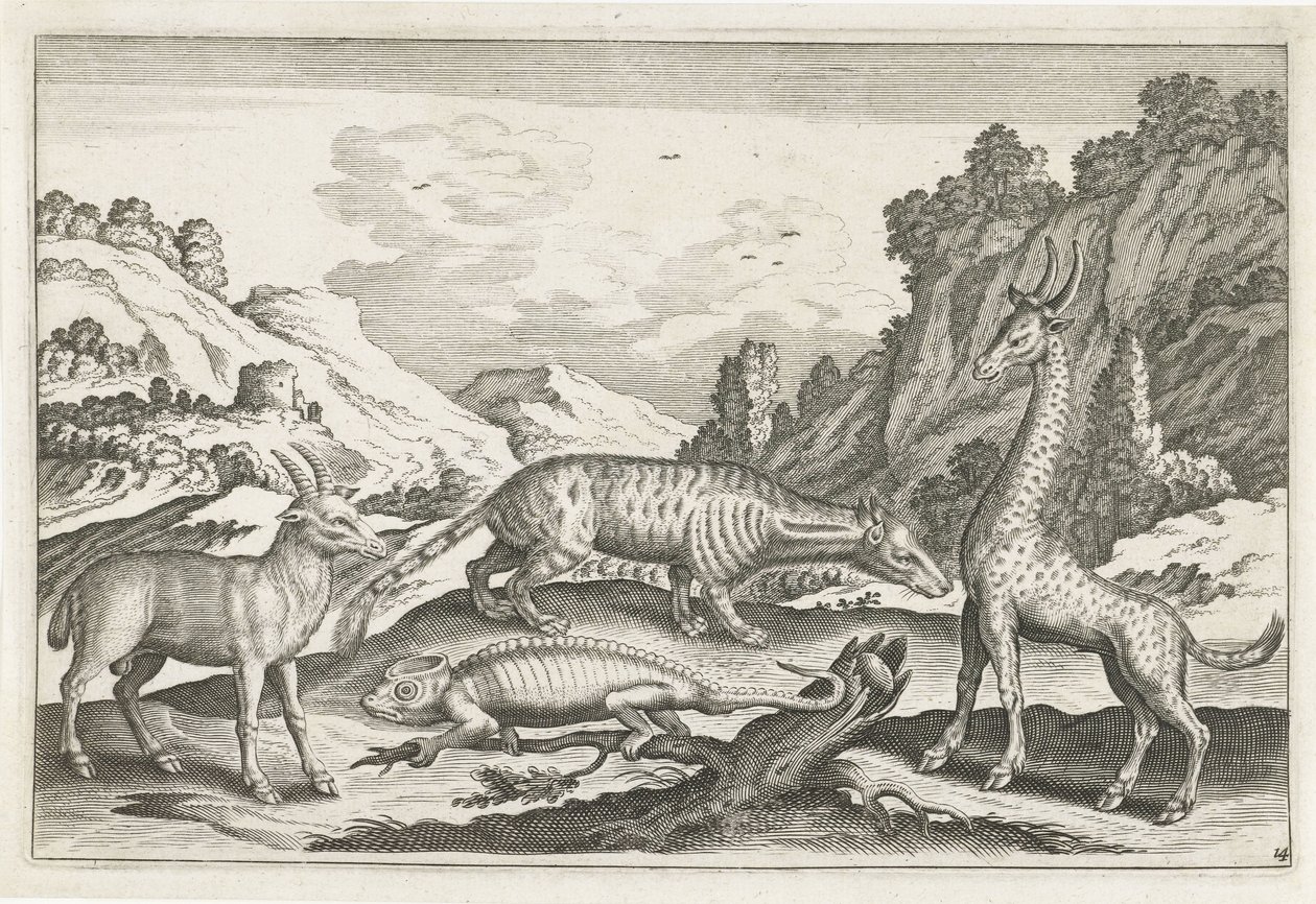 Exotic Animals by Anonymous