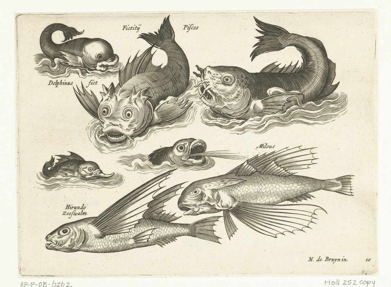 Fantastic Water Creatures, including Dolphin and Pitfish by Anonymous