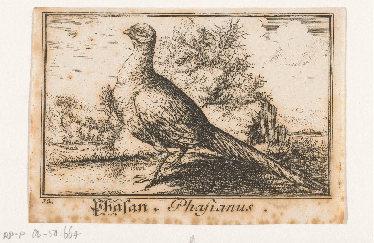 Landscape with Pheasant by Anonymous
