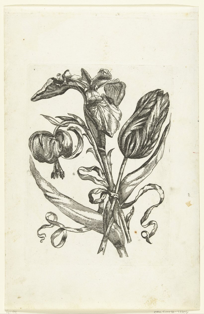 Lily, Iris, and Tulip (series title) by Anonymous