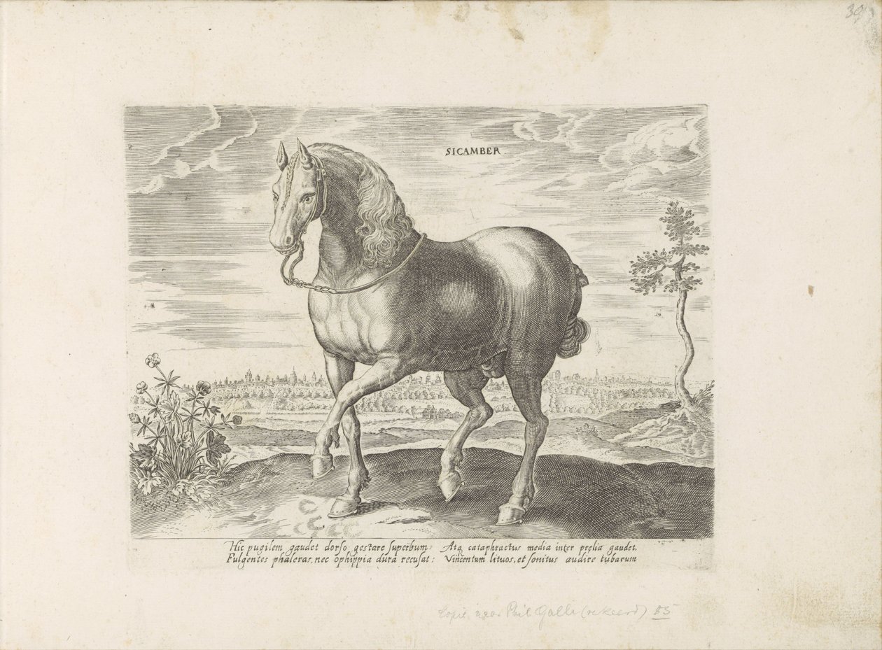 Horse from Gelre by Anonymous