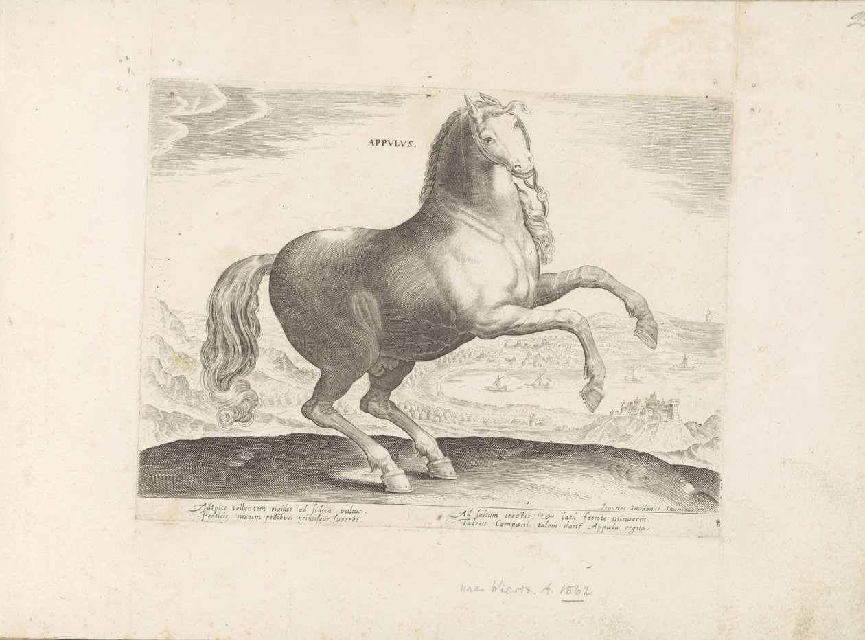 Horse from Southern Italy by Anonymous