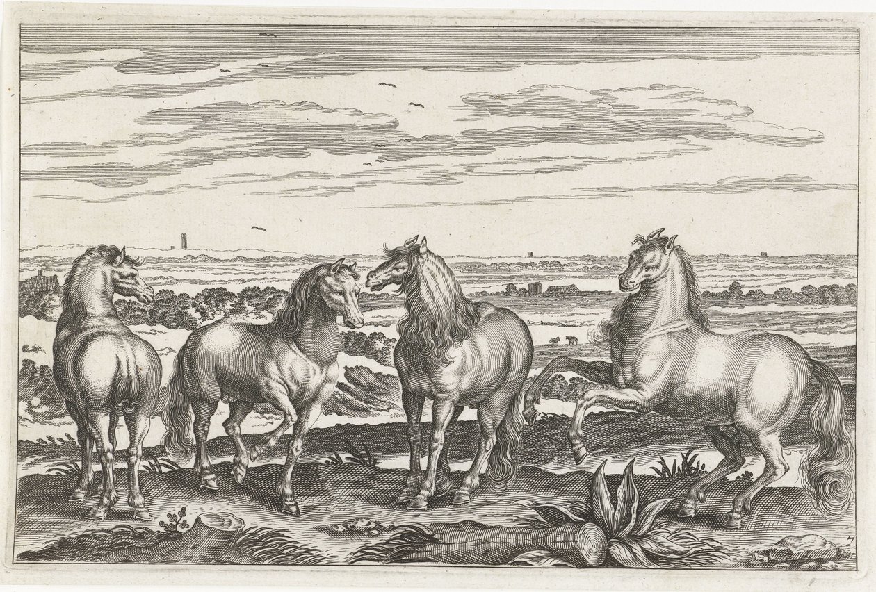 Horses (series title) Animalivm Qvaddrvpedvm (series title) by Anonymous