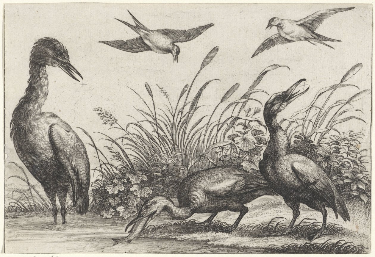 Herons and Swallows by Anonymous