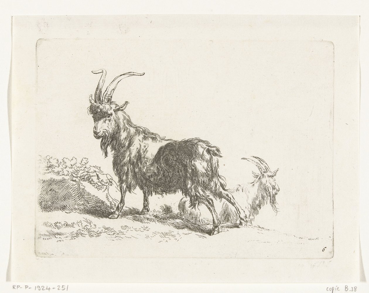Standing and Lying Goat or Buck by Anonymous