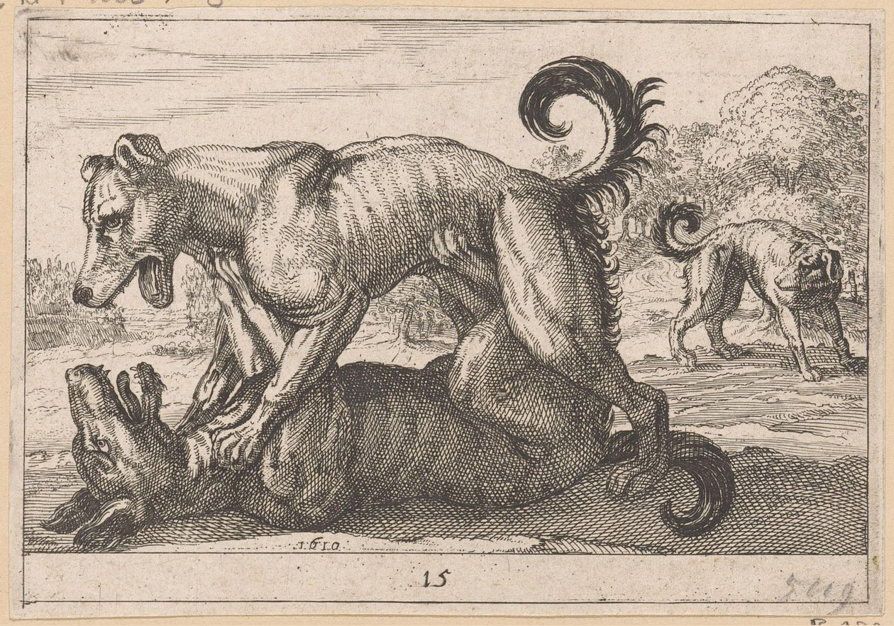 Two Mating and Two Fighting Dogs (Fighting Animals) by Anonymous