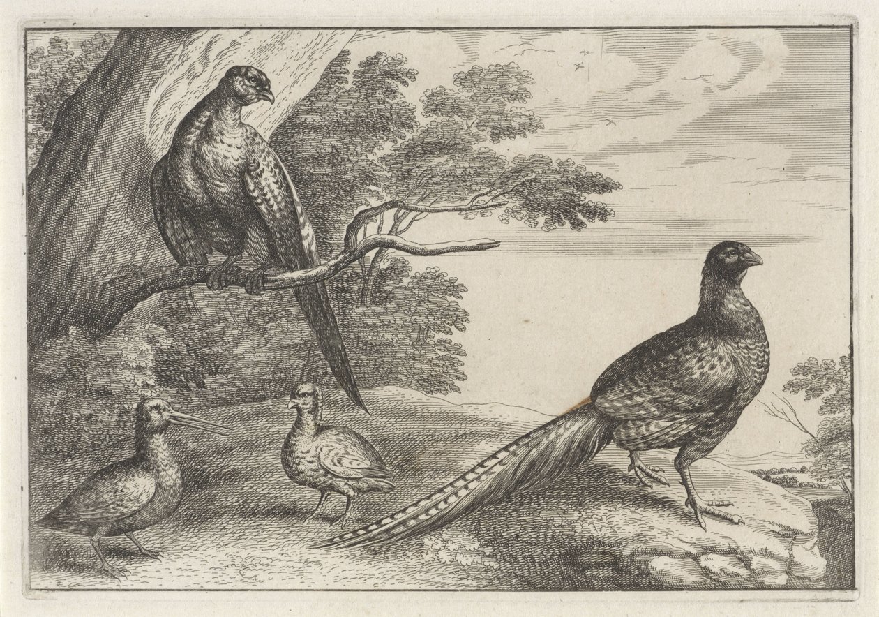 Four Birds by Anonymous