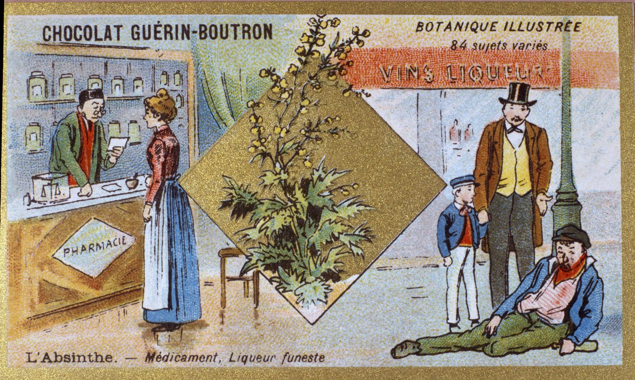 Absinthe: medicine and deadly liqueur. Engraving. Advertising chromolithography for Guerin-Boutron chocolates, late 19th century. Illustrated Botanical Series. by Anonymous Anonymous