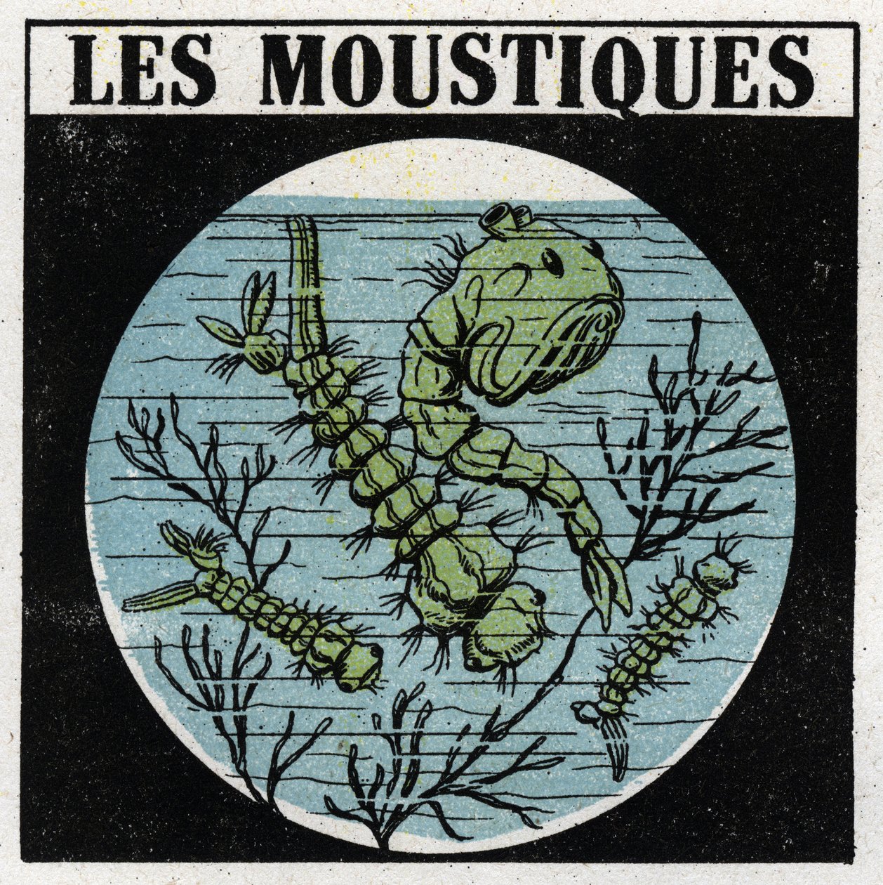 Light projection: use of a projection lantern to observe mosquito larvae by Anonymous Anonymous