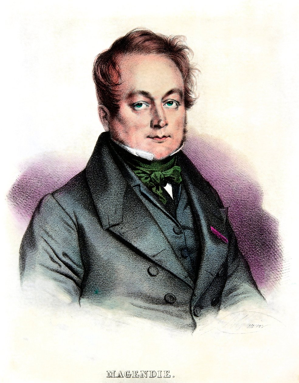 Portrait of Francois Magendie (1783-1855) physician and physiologist by Anonymous Anonymous